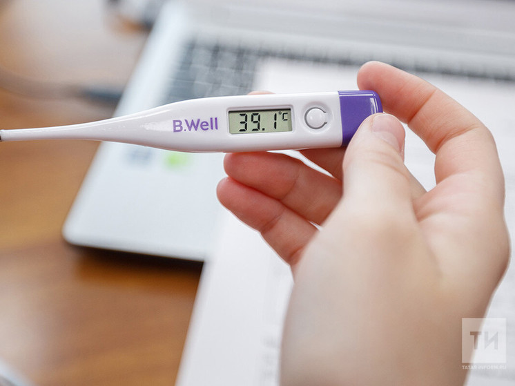 Метапневмовирусом в 2024 году переболели 226 жителей Татарстана