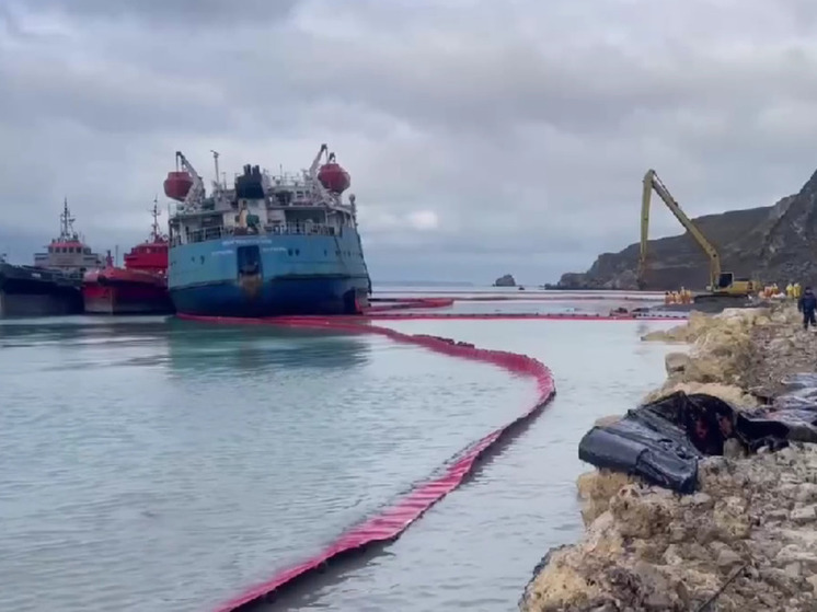 &laquo;Птицы поступают беспрерывно&raquo;: волонтер рассказала о помощи пернатым в Анапе