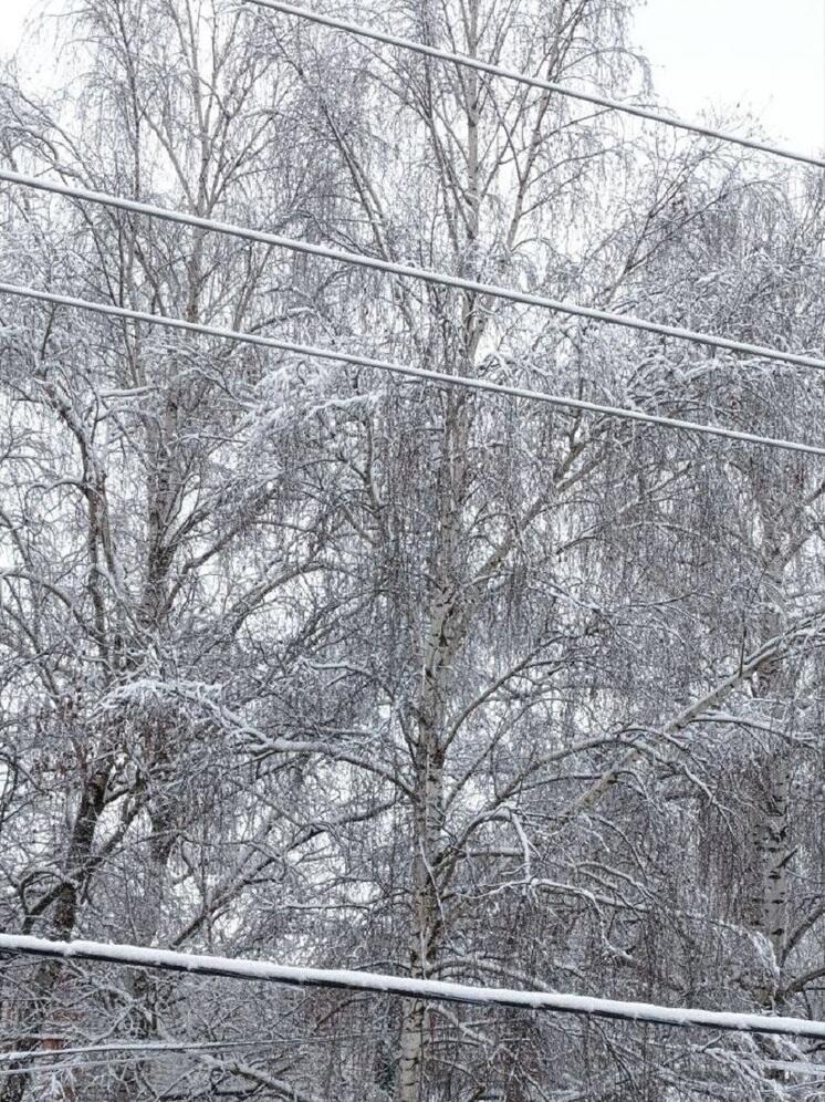 -4°C и небольшой снег ожидается в Нижнем Новгороде 14 января