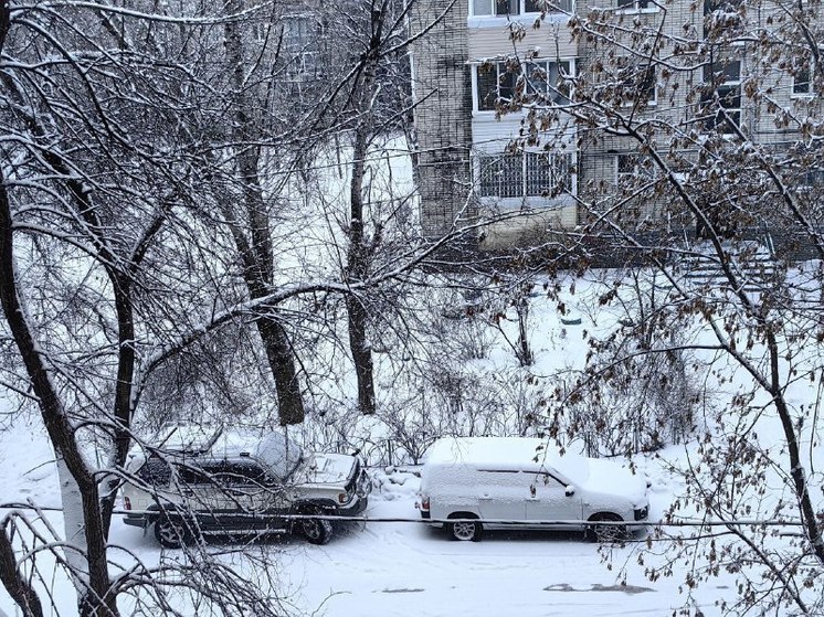 В Хабаровске 14 января ожидается снежная погода