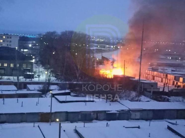 В пензенском микрорайоне Терновка произошел пожар