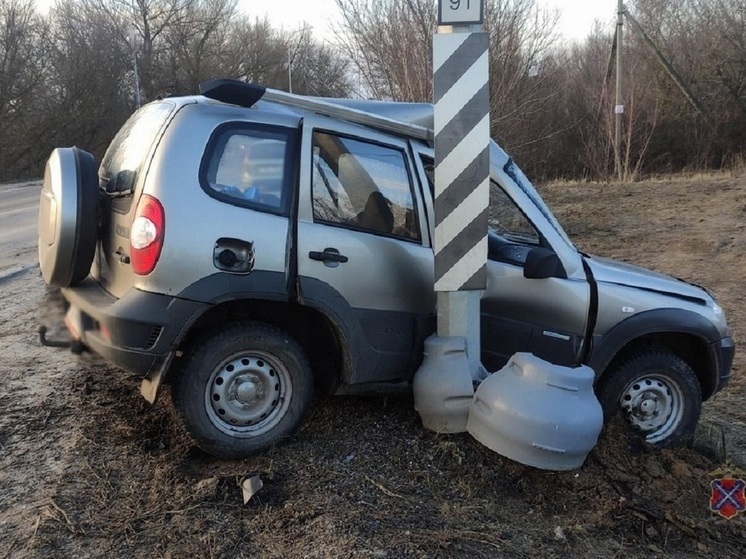 Водитель внедорожника погиб после наезда на ЛЭП в Волгоградской области