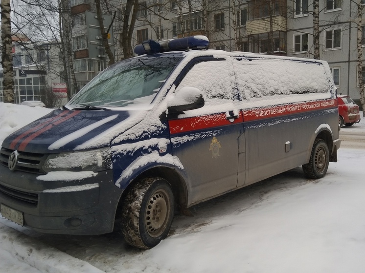 Убийство 80-летней пенсионерки расследуют в Вологодской области