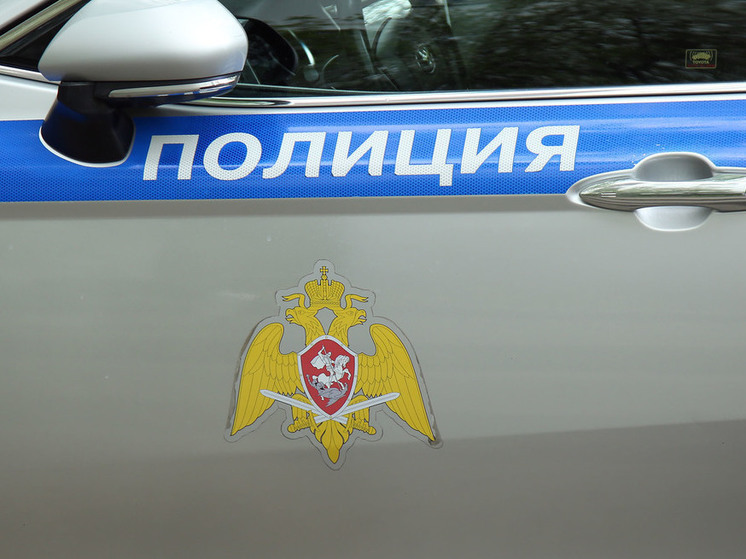 В Барвихе дама из мести разбила машину бывшего свекра