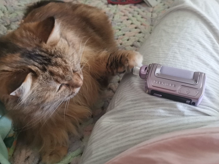 Большинство жителей Приморья выступают за полный запрет на продажу вейпов