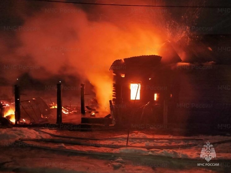 В Козловском округе в огне погиб 73-летний мужчина