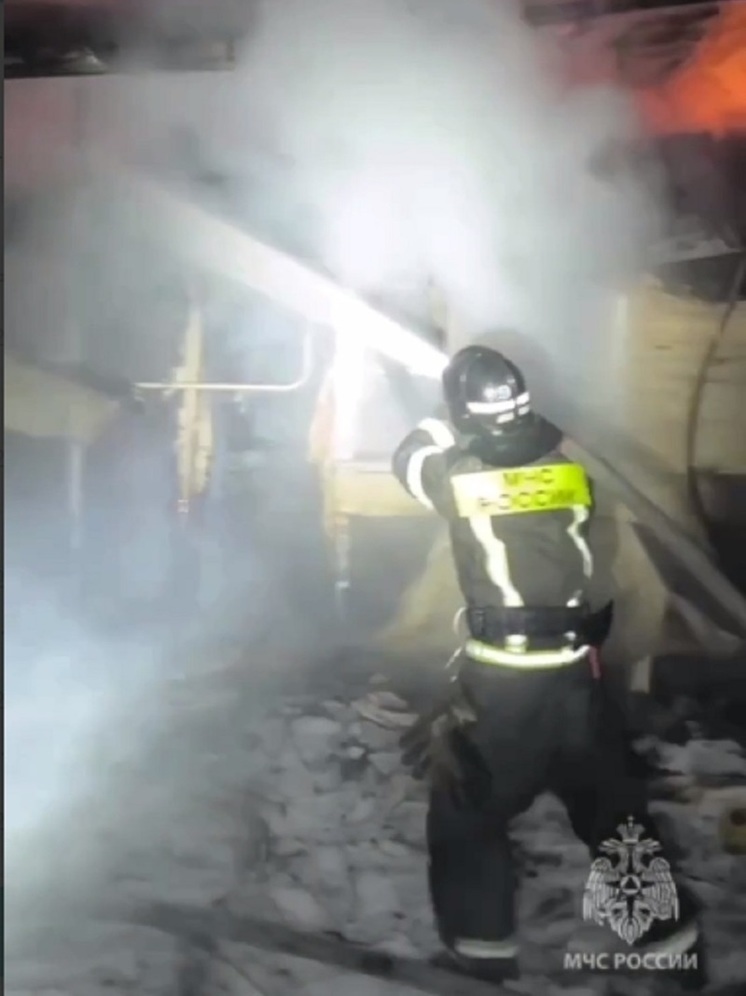 Пожарный извещатель спас многодетную семью в Кургане