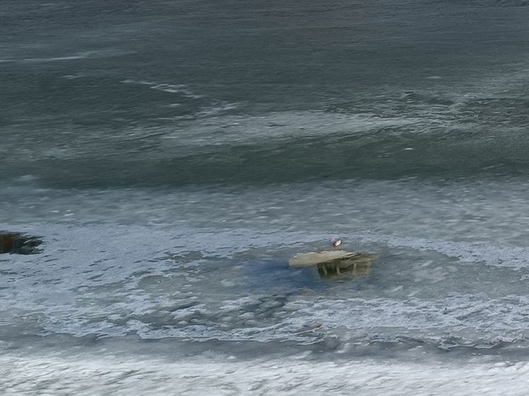 Крещенские купания отметили в курганском муниципальном округе