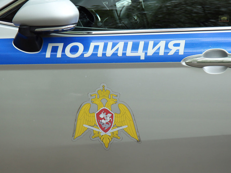 Житель Подмосковья совращал несколько лет девочку с особенностями развития