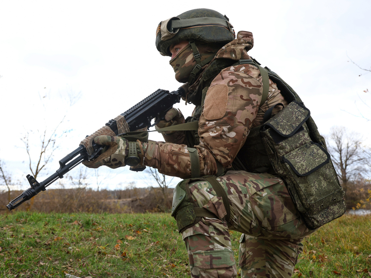 Минобороны РФ: Российская армия взяла под контроль Терны и Нескучное в ДНР