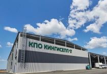 Стало известно, во сколько обойдется жителям Ленобласти обращение с отходами на современном и высокотехнологичном КПО «Кингисепп». За сортировку и захоронение мусора здесь придется заплатить вдвое больше, чем на других объектах регионального оператора. Плюсом к тарифу «новинка» — производство техногрунта. По тарифным документам проходит как обезвреживание отходов, но в статистику нацпроекта попадет как товарная продукция из вторсырья.