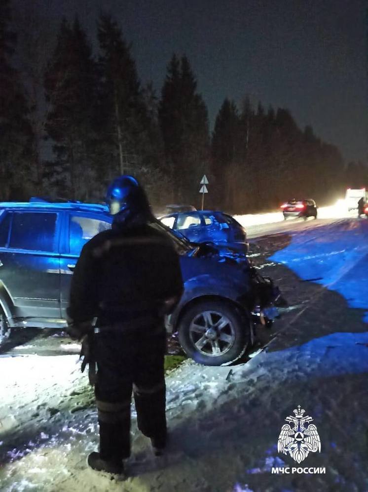 Сотрудники МЧС деблокировали пассажира автомобиля в Тверской области