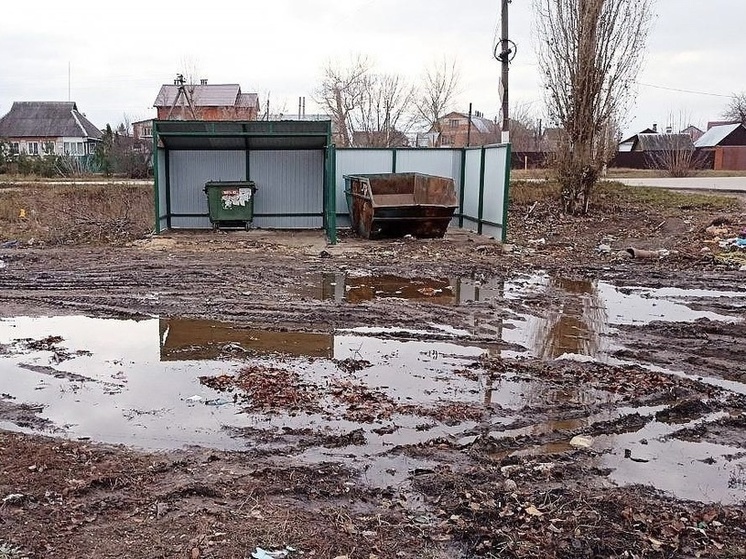 Мэрия города в Липецкой области благоустроила мусорку в Ельце