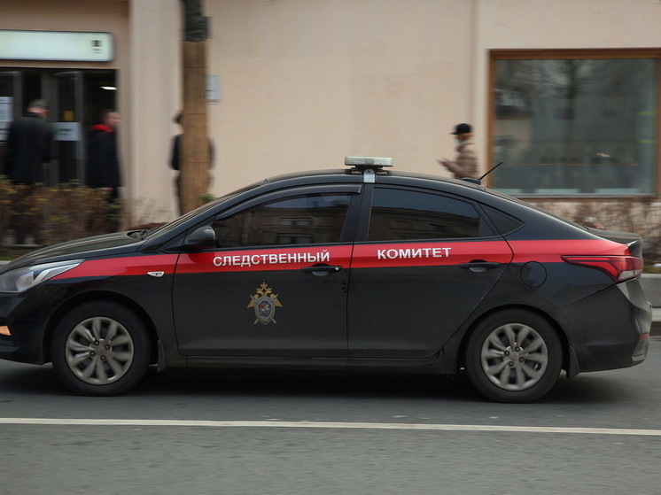 В Саратове подростка задержали по подозрению в покушении на убийство депутата