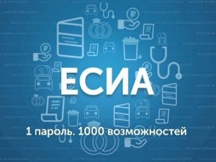 В Волгоградской области за 2024 год выросло число пользователей «Госуслуг»