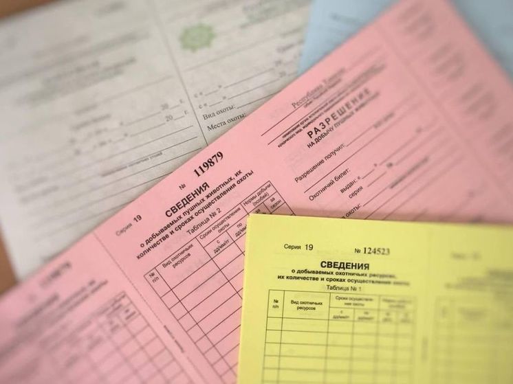 Сезон охоты на кабана завершился в Хакасии