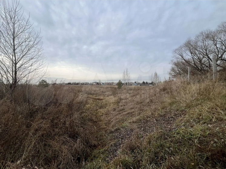 На окраине Барнаула за 175 млн рублей продают 4,4 га земли под коттеджи