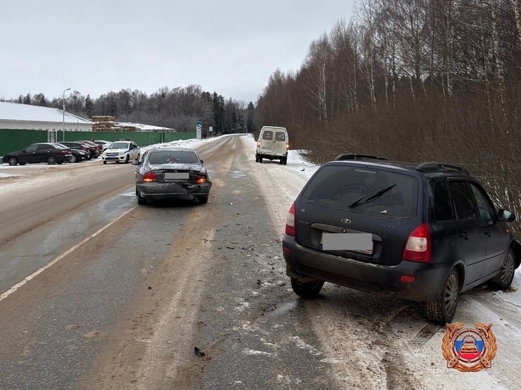 Появились подробности ДТП в Тверской области, где пострадала женщина