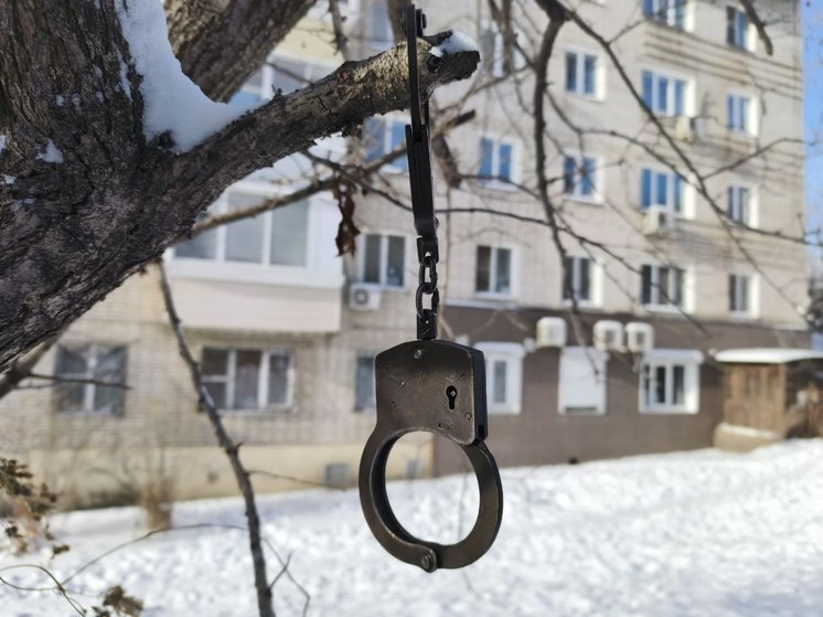 Более шести тысяч разовых доз: силовики задержали наркоторговца в Амурской области