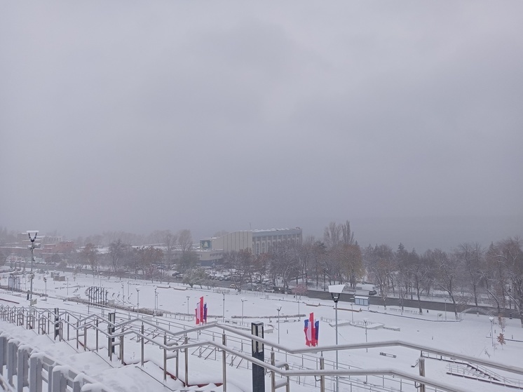 Небольшой снег прогнозируют в Самарской области днем 16 января
