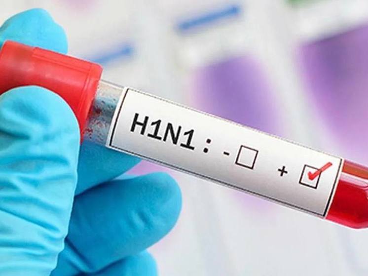 Первый случай гриппа А (H1N1) зафиксирован в Псковской области