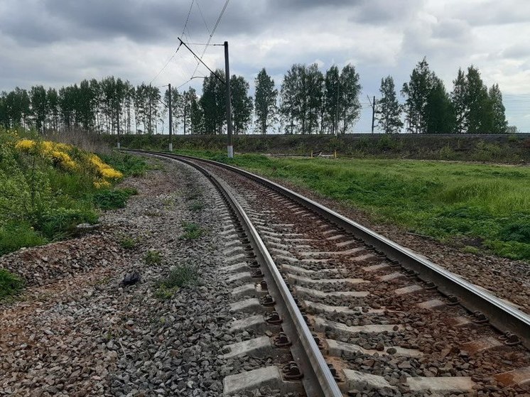 Строительство ВСМ создаст в Новгородской области более тысячи рабочих мест
