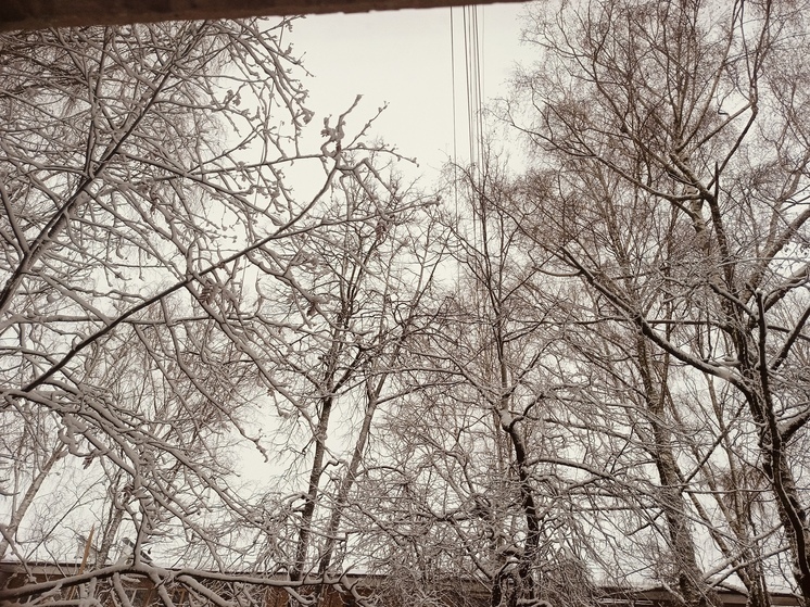 Дожди и мокрый снег надвигаются на Брянскую область