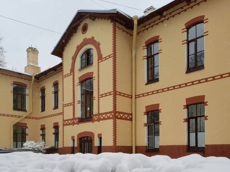 Врачи из Карелии и Санкт-Петербурга помогли женщине с тяжелой патологией стать мамой