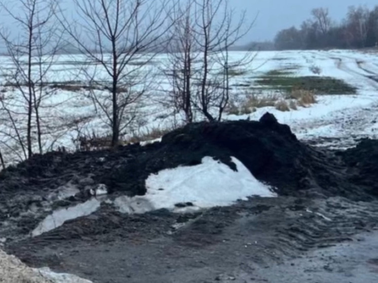 Воронежские полицейские помогли мужчине вытащить застрявшую в грязи машину