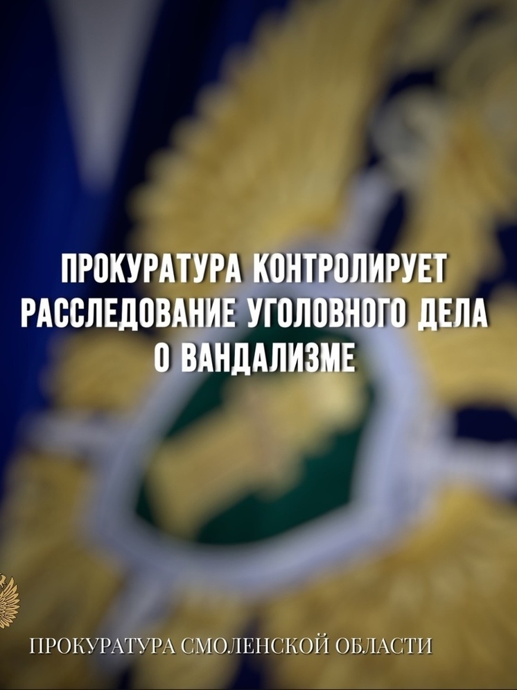 ️Прокуратура региона контролирует расследование уголовного дела о вандализме