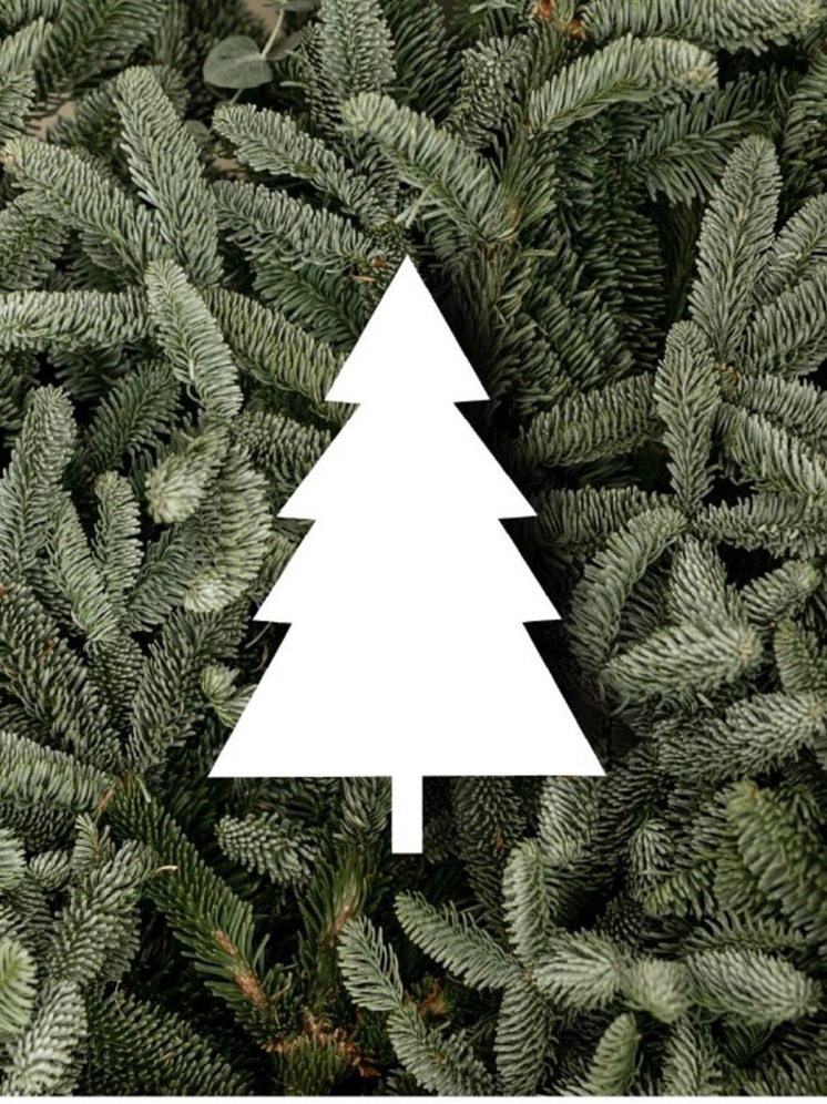 В Великих Луках 20 января стартует «Елочный круговорот»