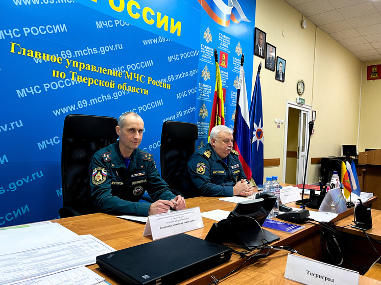 Поджоги, печи и атаки БПЛА: в МЧС рассказали об основных происшествиях в Тверской области за 2024