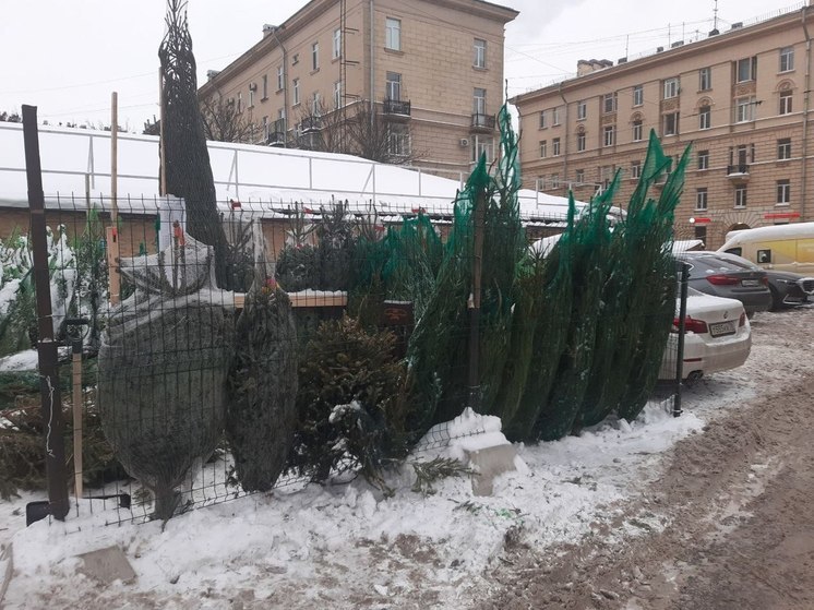 В Северо-Западное межрегиональное управление Росприроднадзора поступило обращение