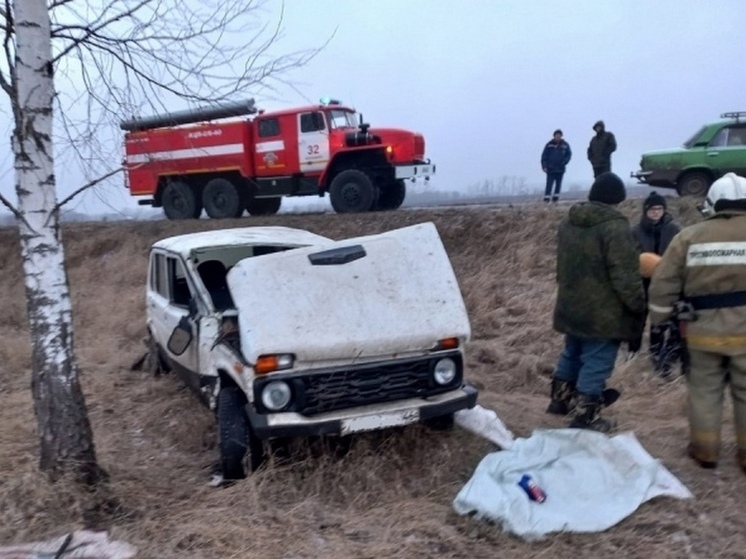В Курской области перевернулся автомобиль - пострадали 3 человека