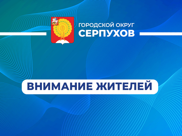 В Серпухове проводятся консультации специалистов для участников СВО и их семей