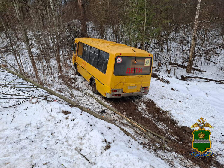 В Калужской области школьный автобус съехал в кювет после ДТП