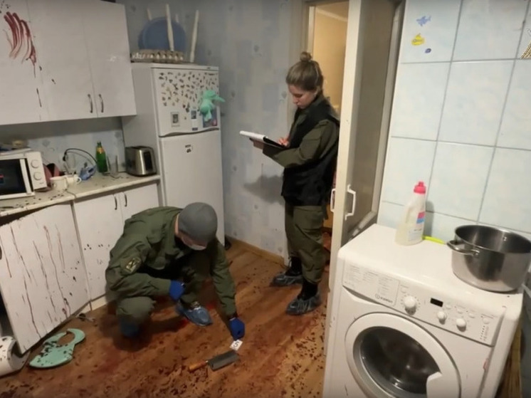 Убийцу жены и ребенка из Балахны арестовали до 12 марта