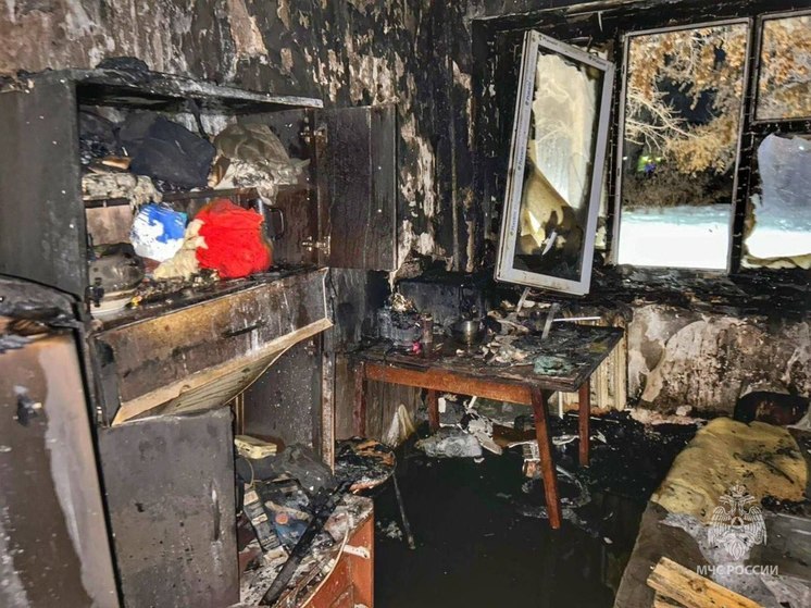 Непотушенный окурок стал причиной крупного пожара в Кургане