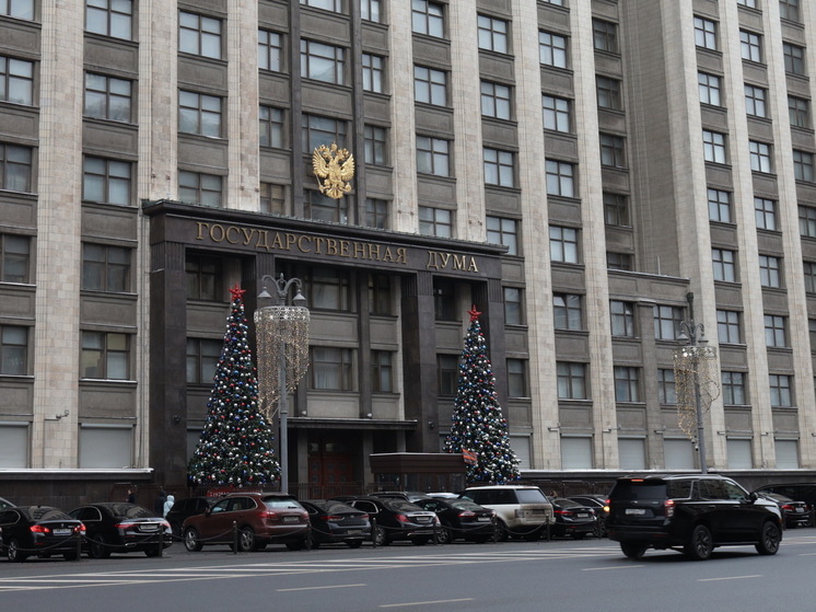 Останина назвала протоиерея Ткачева мракобесом за слова о связи атак ВСУ и абортов