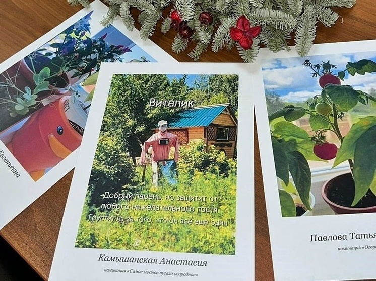 Во Владимирской области назвали победителей конкурса «Наш семейный огород»