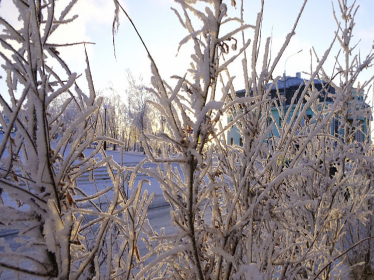 Мороз до -48 ожидается в континентальной части региона в пятницу