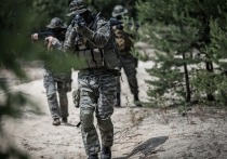 Координатор пророссийского николаевского подполья Сергей Лебедев в беседе с РИА Новости заявил, что российские военные нанесли удар по переправлявшейся военной технике и наёмникам из Румынии