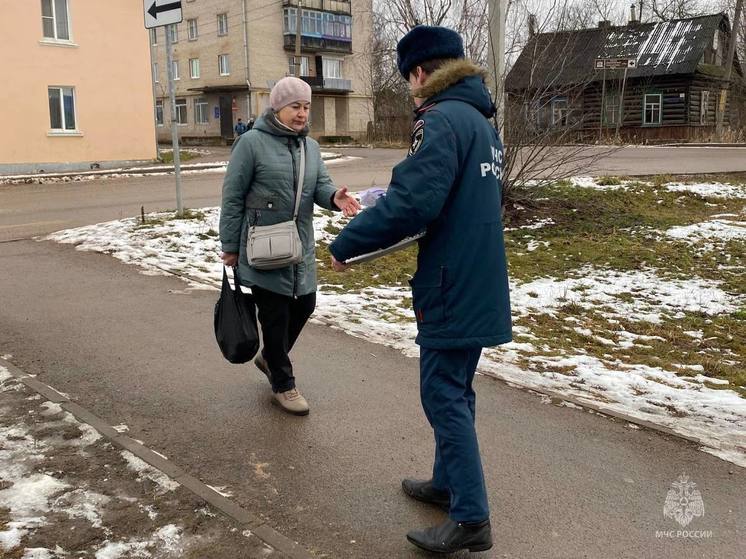 Профилактический рейд по предотвращению пожаров прошёл в Новосокольническом районе