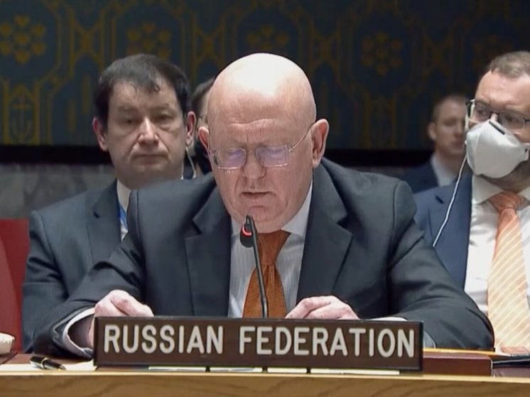 Небензя: Киев атаковал "Турецкий поток" по наводке Британии и США