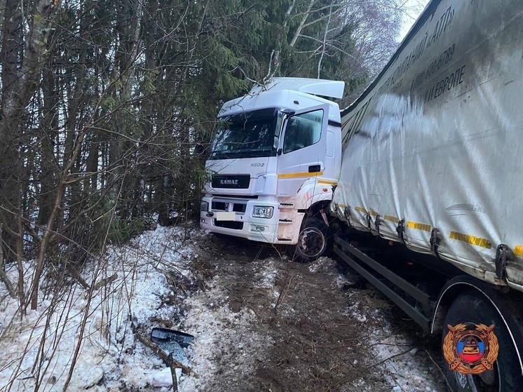 В Тверской области после аварии водителя фуры увезли в больницу на «скорой»