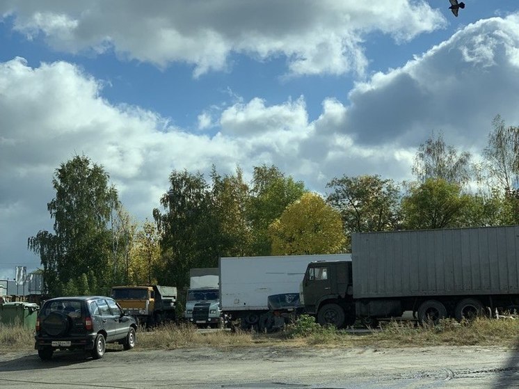 Пензастат представил данные о грузоперевозках в Пензенской области за период с января по ноябрь 2024 года. 