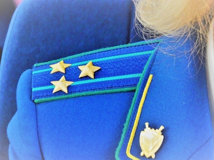 В Савинском районе мужчина «забыл» сдать найденные патроны