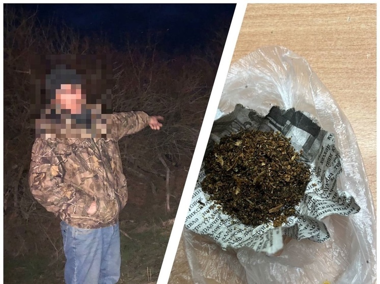 В райцентре Калмыкии у мужчины нашли пакет с коноплей