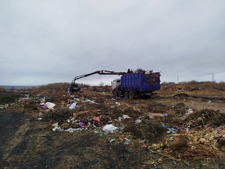 В 2024 году на территории Пензенской области ликвидировали 49 свалок