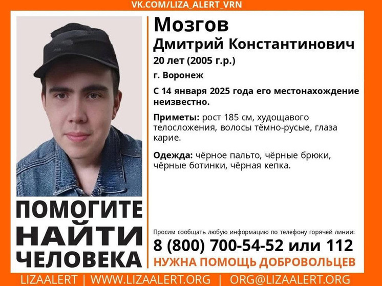 Поисковый отряд «ЛизаАлерт» объявил о поисках 20-летнего воронежца